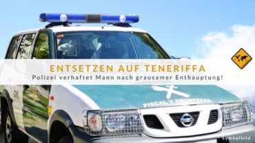 Hund auf Teneriffa enthauptet – Verdächtiger verhaftet!