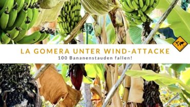 Stürmische Tage auf La Gomera: Wind lässt nach, Schäden bleiben