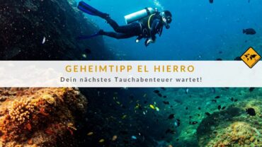 Auf El Hierro tauchen: National Geographic sagt ja!