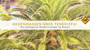 Entwarnung nach Teneriffa Unwetter? Das sagt Inselpräsidentin!