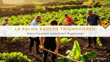 La Palma Bauern triumphieren: Gerichtsurteil schockiert Regierung!