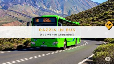 Drogenhund auf Teneriffa: Razzia im Bus – Was wurde gefunden?