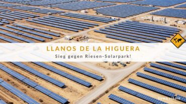 Fuerteventura Nachrichten: Anwohner stoppen Solar-Projekt!