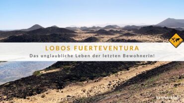 Isla de Lobos – Nur eine Person lebt auf dieser Kanaren-Insel!
