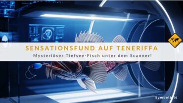 Seltener Fund auf Teneriffa: Mysteriöser Tiefsee-Fisch unterm CT!