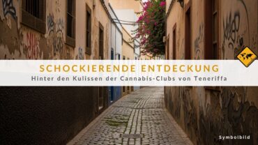 Drogen auf Teneriffa – Kannabis-Clubs als Drogenzentrale entlarvt