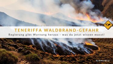 Teneriffa Waldbrand Gefahr – Regierung warnt eindringlich!
