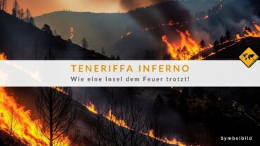 Waldbrand auf Teneriffa: Neue Hoffnung nach der Stabilisierung!