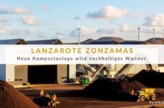 Lanzarote Nachhaltigkeit: So revolutioniert die Insel ihr Müllsystem